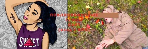 эйфоретик Балахна