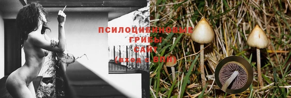 ECSTASY Балабаново