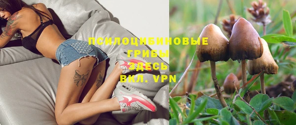эйфоретик Балахна